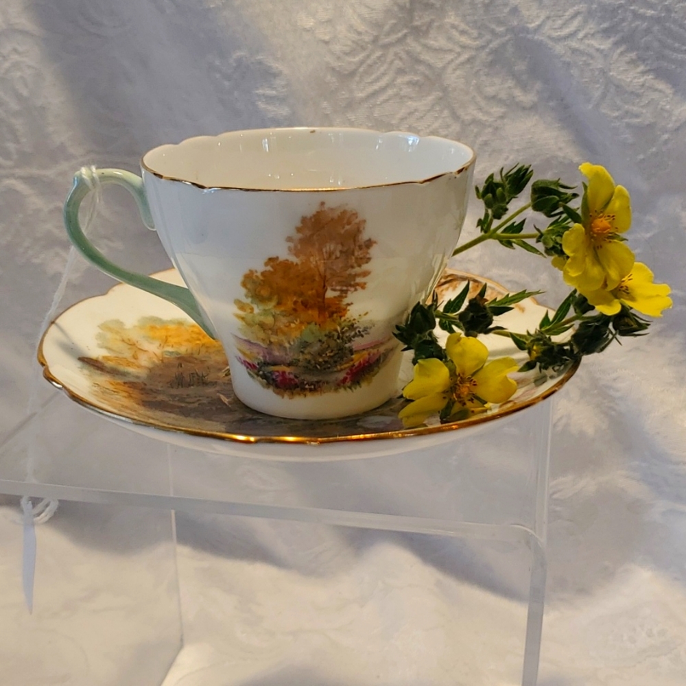 HOST PICK!!  VINTAGE Shelley HEATHER teacup & saucer EUC England